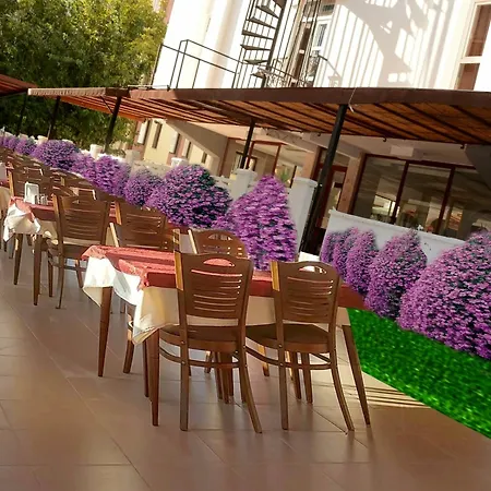 Hotell Derin 3*